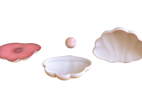 Open Clam Sea Shell 05 3D Model