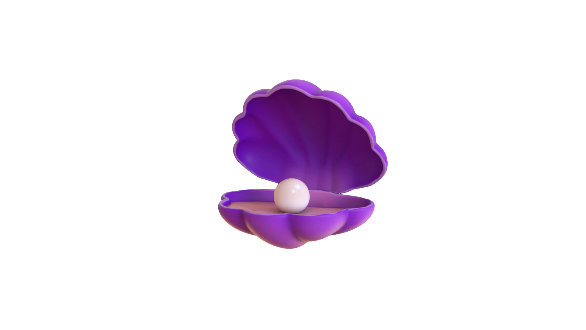 Open Clam Sea Shell 06 3D Model .c4d .max .obj .3ds .fbx .stl .blend 