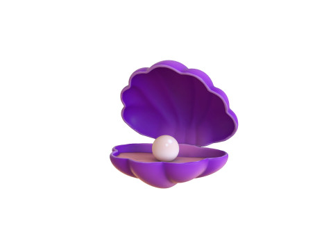 Open Clam Sea Shell 06 3D Model