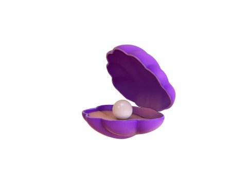 Open Clam Sea Shell 06 3D Model