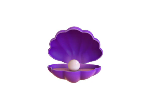 Open Clam Sea Shell 06 3D Model