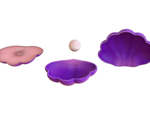 Open Clam Sea Shell 06 3D Model