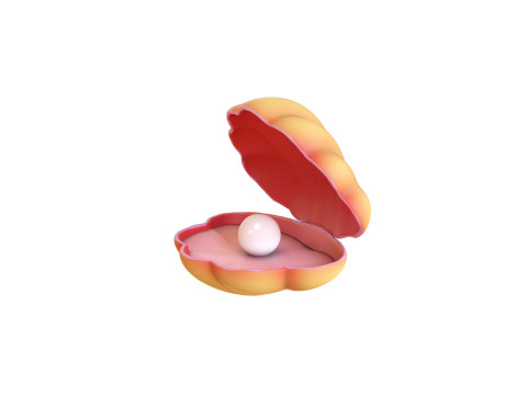 Open Clam Sea Shell 07 3Dモデル
