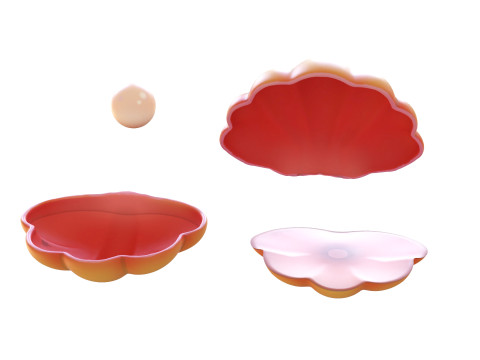 Open Clam Sea Shell 07 3Dモデル