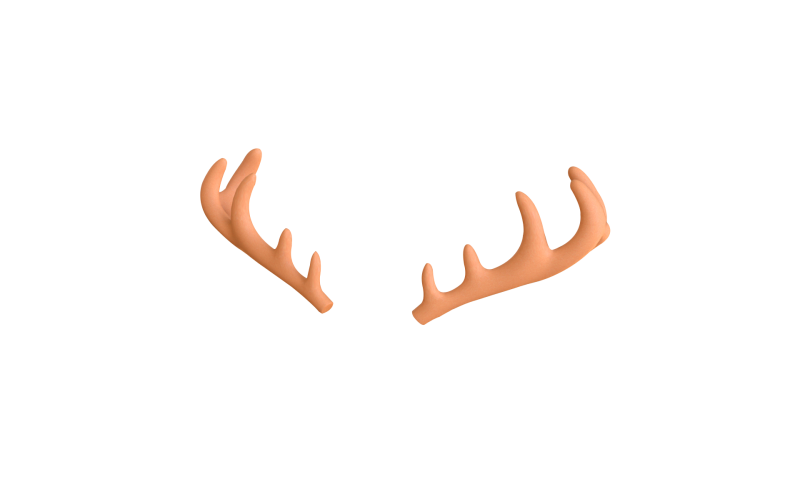 Wildlife Deer Antler 3D Model .c4d .max .obj .3ds .fbx .stl .blend 