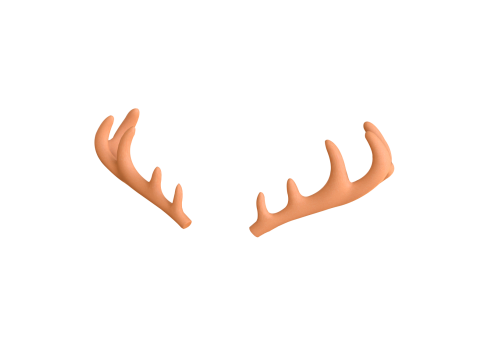Wildlife Deer Antler 3D Модель