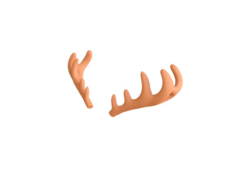 Wildlife Deer Antler 3D Model