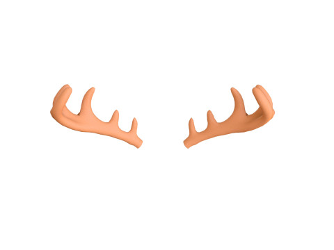 Wildlife Deer Antler 3D Model