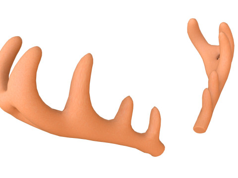 Wildlife Deer Antler 3D Model