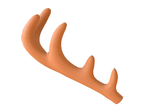 Wildlife Deer Antler 3D Model