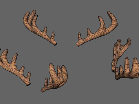 Wildlife Deer Antler 3D Model