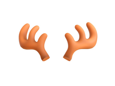 Wildlife Deer Antler 01 3D Model