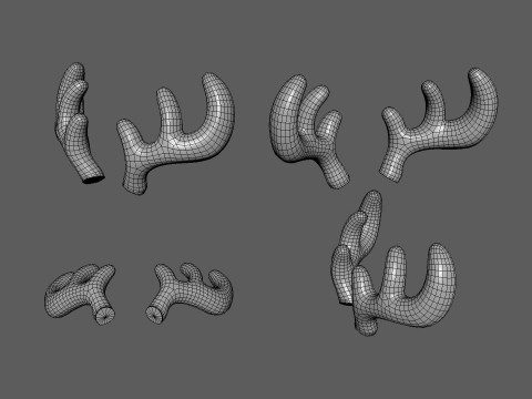 Wildlife Deer Antler 01 3D Model