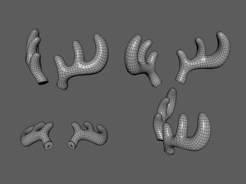 Wildlife Deer Antler 01 3D Model