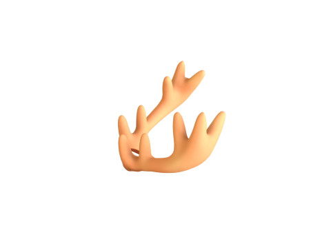 Wildlife Deer Antler 02 3D Model