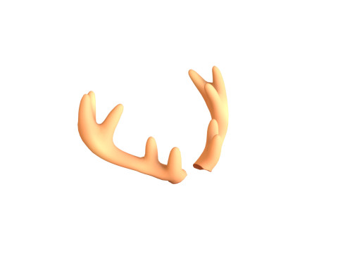 Wildlife Deer Antler 02 3D Model