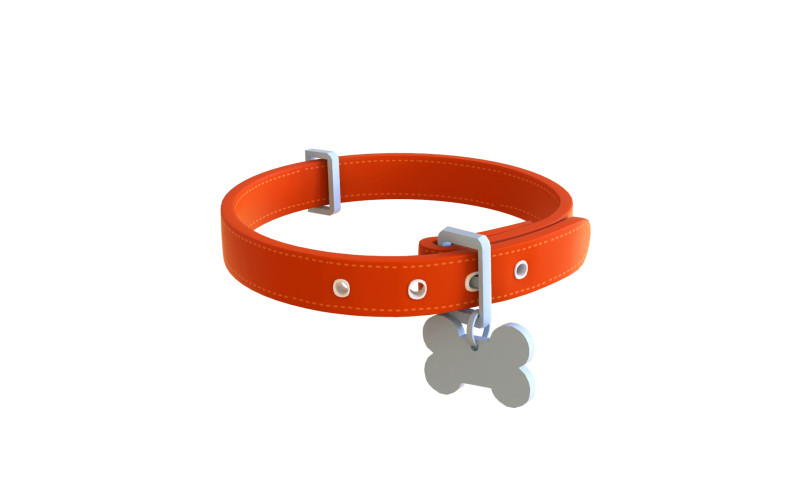 Cartoon Pet Collar 3Dモデル .c4d .max .obj .3ds .fbx .stl .blend 