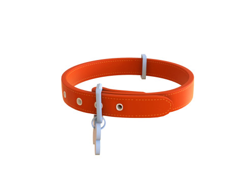 Cartoon Pet Collar 3Dモデル