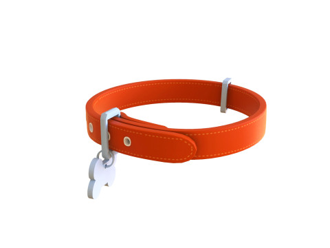 Cartoon Pet Collar 3Dモデル
