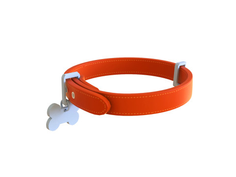Cartoon Pet Collar 3Dモデル