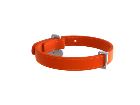 Cartoon Pet Collar 3Dモデル