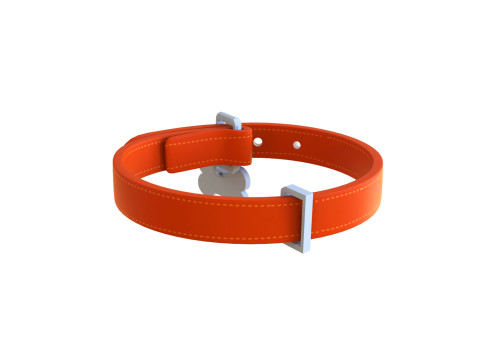 Cartoon Pet Collar 3Dモデル