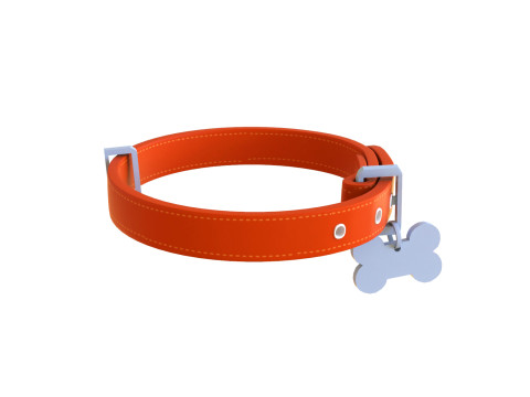 Cartoon Pet Collar 3Dモデル