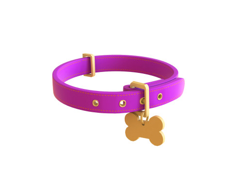 Cartoon Pet Collar v001 3Dモデル