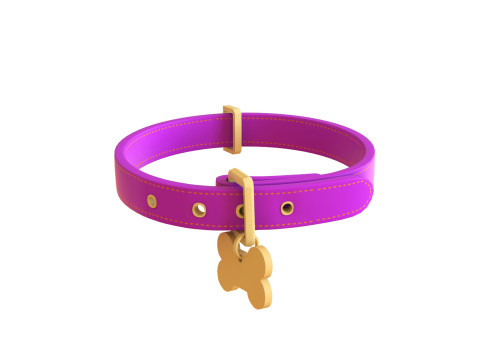 Cartoon Pet Collar v001 3D Model