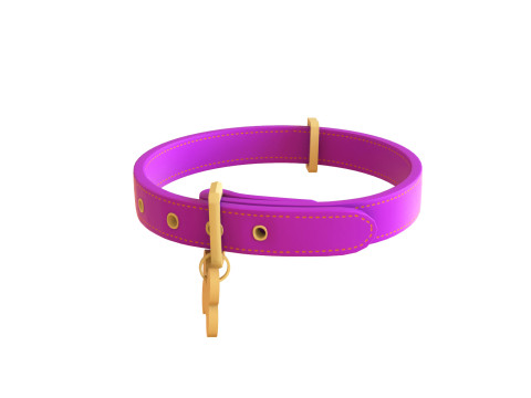 Cartoon Pet Collar v001 3D Model