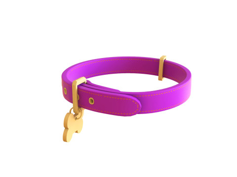 Cartoon Pet Collar v001 3D Model