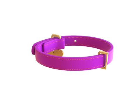 Cartoon Pet Collar v001 3D Model