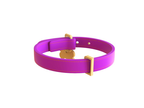 Cartoon Pet Collar v001 3D Model