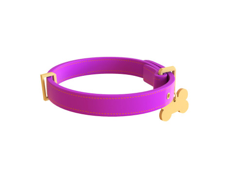 Cartoon Pet Collar v001 3D Model