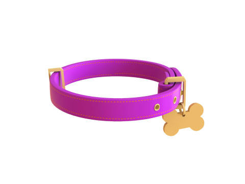 Cartoon Pet Collar v001 3D Model