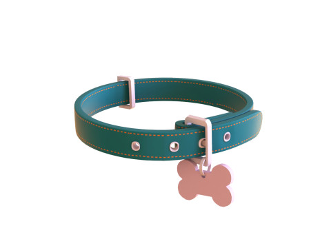 Cartoon Pet Collar v002 3Dモデル