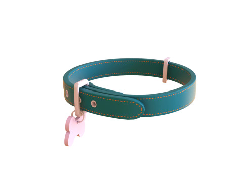Cartoon Pet Collar v002 3D Model