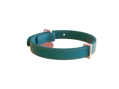 Cartoon Pet Collar v002 3D Model