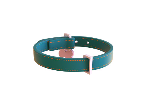 Cartoon Pet Collar v002 3D Model