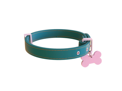 Cartoon Pet Collar v002 3D Model