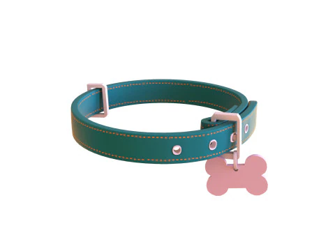 Cartoon Pet Collar v002 3D Model