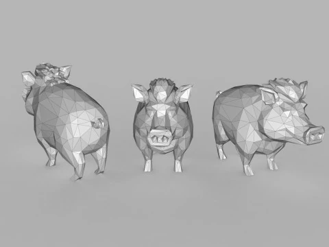 Yaban Domuzu D&uuml;ş&uuml;k Poli 3D Model