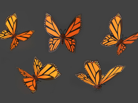 Cartoon Butterfly Wing Flapping Animated 01 Modèle 3D