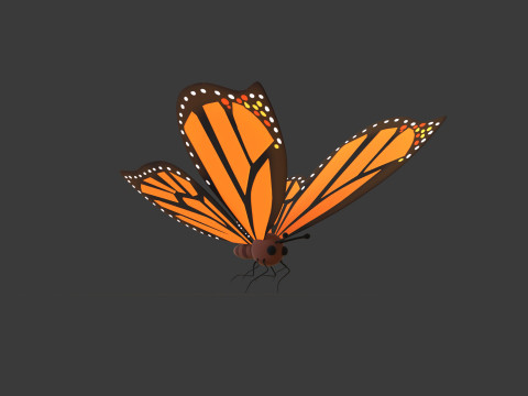 Cartoon Butterfly Wing Flapping Animated 01 Modèle 3D