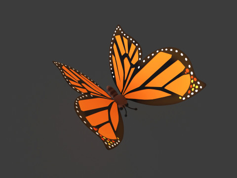 Cartoon Butterfly Wing Flapping Animated 01 Modèle 3D