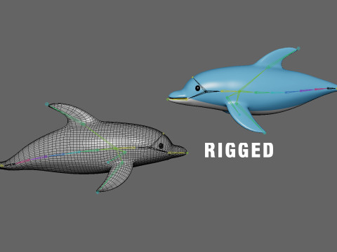 Cartoon Dolphin 01 Rigged 3Dモデル