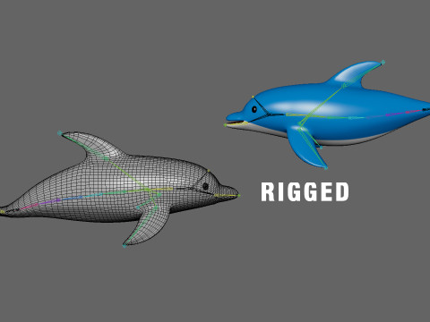 Cartoon Dolphin 02 Rigged 3D Модель