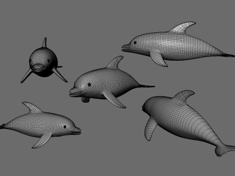 Cartoon Dolphin 02 Rigged 3D Модель