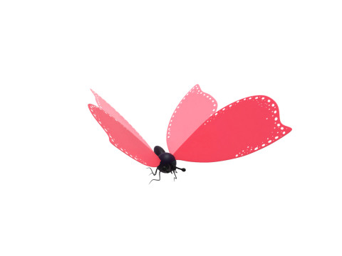 Butterfly Wing Flapping 02 Animated for Game Modèle 3D