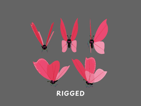Butterfly Wing Flapping 02 Animated for Game Modèle 3D